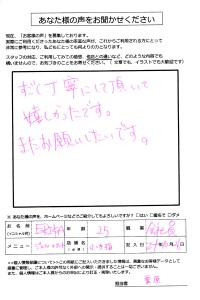 img009syu
