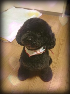 o0600080012811098323