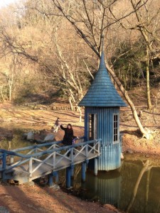 o0800106612815154098